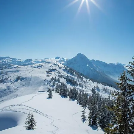 فندق Alpenwelt Superior فلاخاو