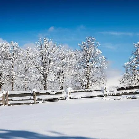 فندق Alpenwelt Superior