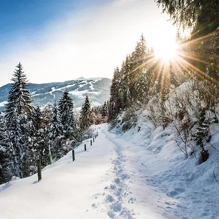 فندق Alpenwelt Superior