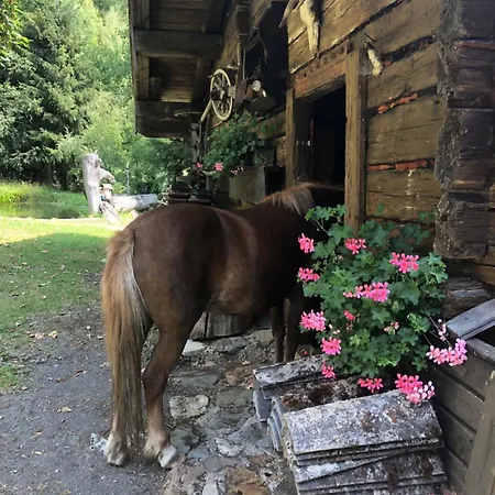 Hotell Alpenwelt Flachau
