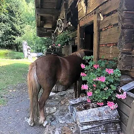 Alpenwelt Superior 3*