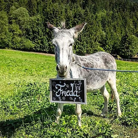 Alpenwelt Superior Flachau