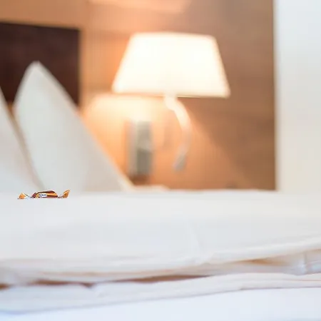 酒店 阿尔普恩维尔特高级酒店 弗拉绍