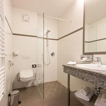 阿尔普恩维尔特高级酒店 酒店